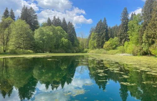 Bungalow im Feriendorf Uslar mit Gartenterrasse - Photo 64