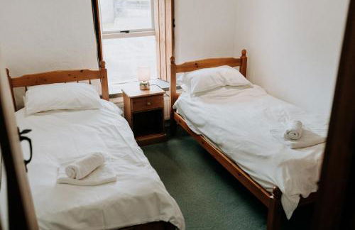 Treleddyn Farmhouse - Photo 59