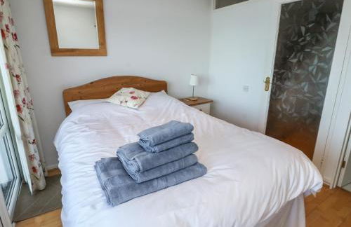 Snowy Owl View at The Breakwater - Photo 15