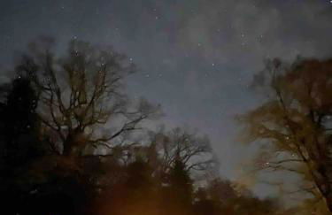 Family friendly sunny Log Cabin - Photo 23