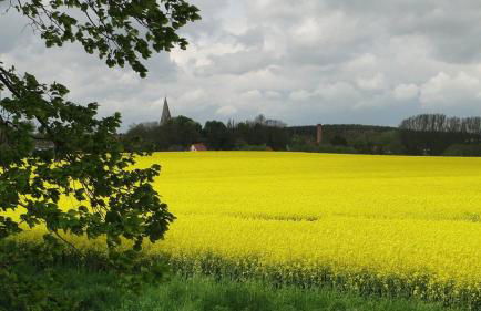Fewo Rügen Böttger - Foto 42