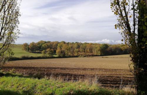 Charmant gîte de 4 à 6 personnes à 5km de Duras - Foto 33
