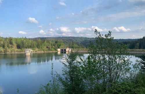 Schönes Ferienhaus 400m vom See, Sauna, Kamin, Klima, Garten - Foto 47