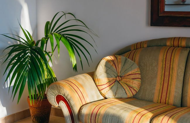 Villa Tina in Sant Agnello - Foto 11