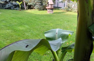 Stettiner Haff Nebengebäude - Foto 22