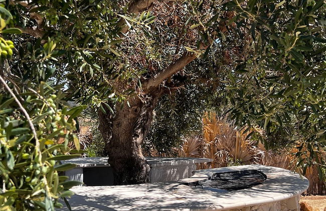 Villa in the Mountains Hammamet - Foto 52