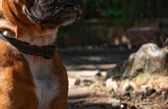 Hotel Rural Victoria by Bossh! Hotels - Foto 67