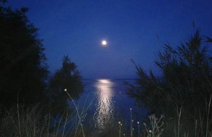 Kiki's Apartments - Foto 30