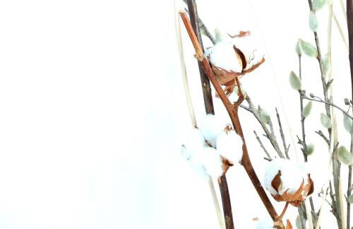 ABAL Apartments - Teatro - Foto 83