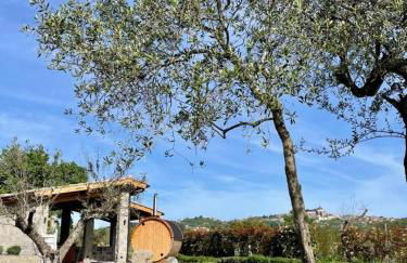 Villa Paladini - Foto 76