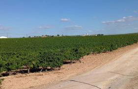 ALOJAMIENTO RURAL CASA LOS ARENALES - Foto 7