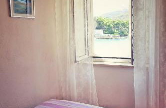 Ruzicin dvor - Photo 35