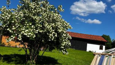 Oaza Marcinkowska - Foto 2, Garden, Garden view