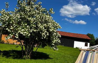 Oaza Marcinkowska - Foto 2