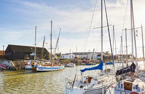 400m de la mer, belle résidence pour 8 avec jardin - Foto 25