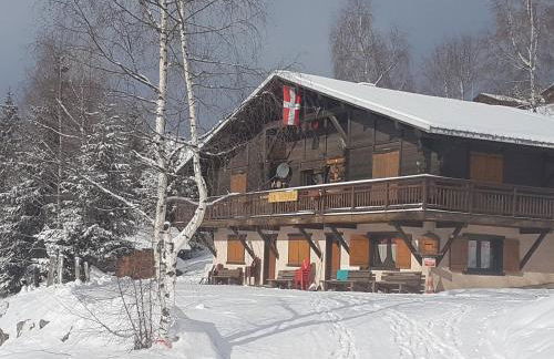 APPARTEMENT COSY AUX SAISIES n1 - Foto 33