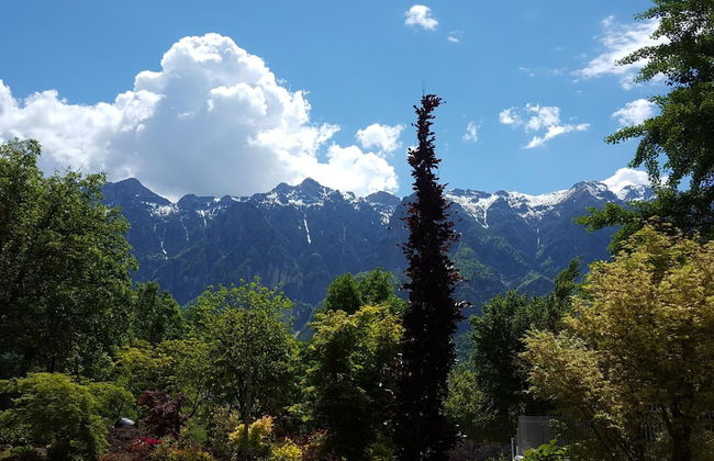 Masetto Egidio Agritur - Foto 49