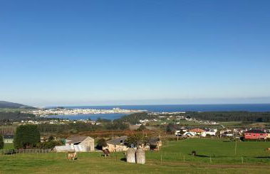 "O Cabazo de Reinante" - Foto 54