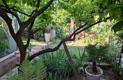 Tranquil, calm garden studio with spa pool - Foto 7