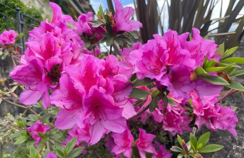 Casa do Alto (top floor apartment) - Foto 71