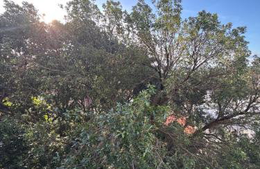 Acolhedor apartamento na Mata da Praia com lazer de Cube - Foto 38