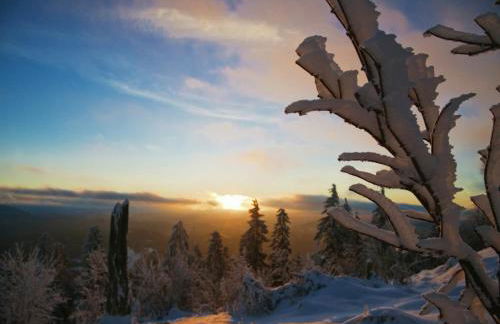 Flucht in Malsburg-Marzell - Foto 24