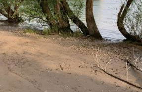 Nido Vela Appartement - Foto 42