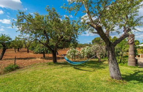 Son Ametller - Foto 15