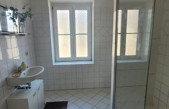 Ap1 90qm 3 SZ Terrasse bei Oschersleben und Helmstedt - Foto 11