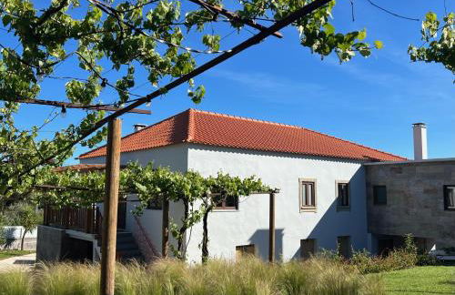 Casa Bizarra - Foto 21