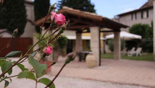 Il Cortile delle Rose Holiday House - Foto 5