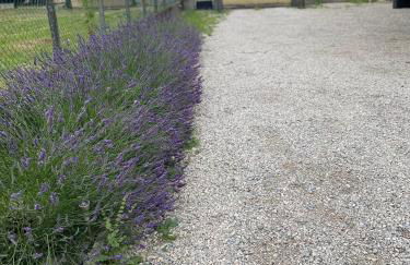 appartement à Tarascon sur Ariège le Sabart - Foto 16
