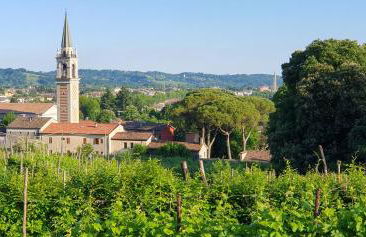 Casa Lorelein - Foto 42