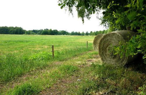 Schäfchenwolke Apartment auf dem Bauernhof - Foto 14