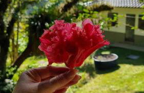 Chácara Privativa com Quadra de Beach Tennis - Foto 9