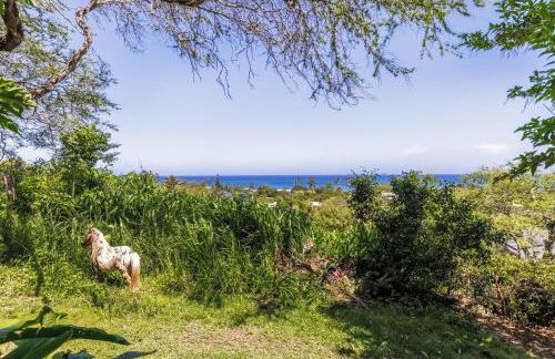 Paradise Apartment in North Shore Oahu Hawaii - Foto 12