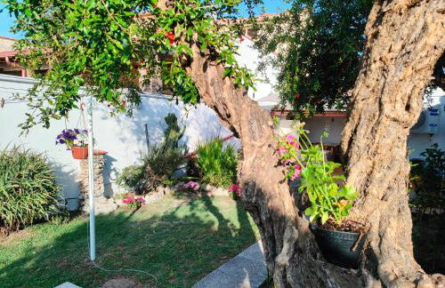 Mammaioa house - Foto 11