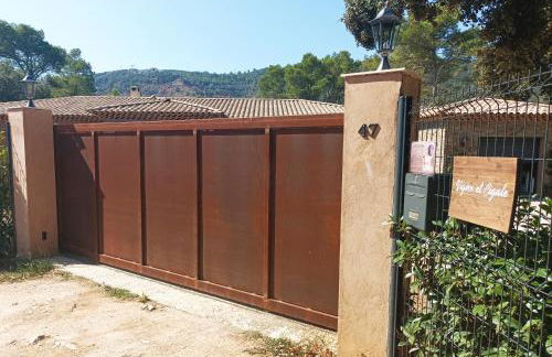 Vigne et cigale - Foto 23