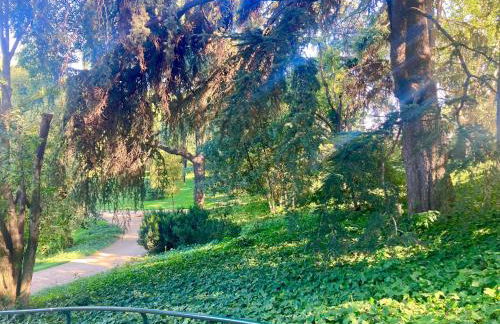 Encantador apartamento céntrico en Barrio Salamanca, junto a WiZink Center Movistar Arena y Plaza de Toros Las Ventas - Foto 47