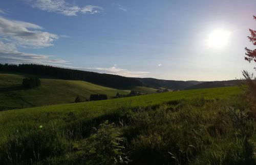 Am Sommerberg - Foto 31