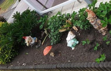 Haus Dannigkow - Foto 25