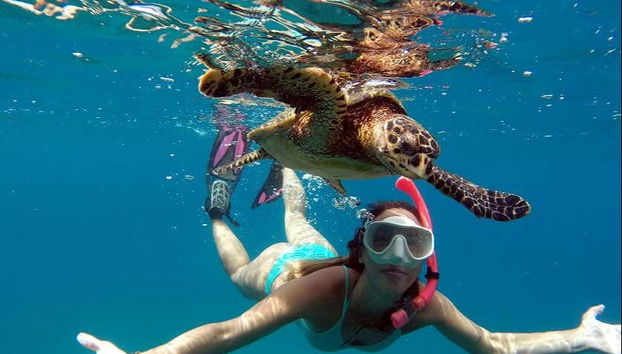 Giro in barca + Snorkeling a Playa Sancho - Foto 5