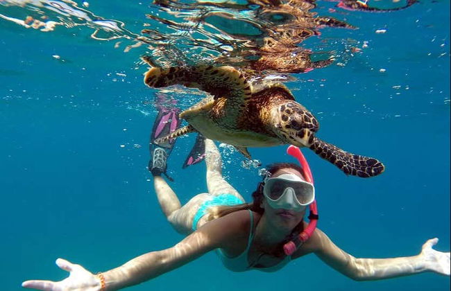 Balade en bateau + Snorkeling à la Plage Sancho - Photo 5