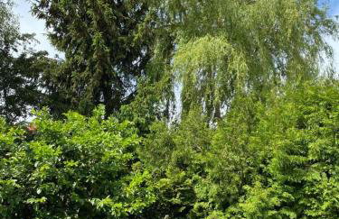 Dom wakacyjny Pawelkowo - Foto 36