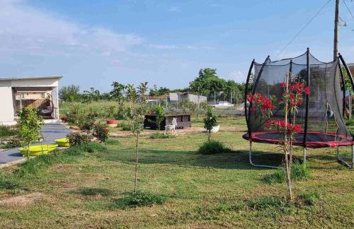 Agroktima Arta - Farm Stay - Foto 62