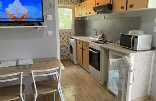 F1 noir/anis, avec terrasse couverte et jardin (E) - Foto 5