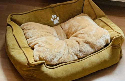 Ferienwohnung Juttchen - Photo 35