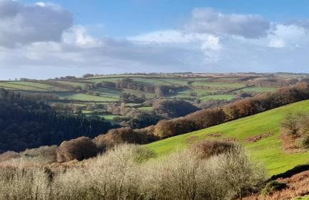 Sheepfold Cottage Dulverton - Foto 27