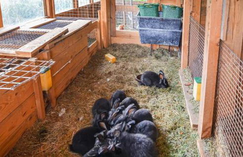 Lovely Home In Heideblick With Kitchen - Foto 9