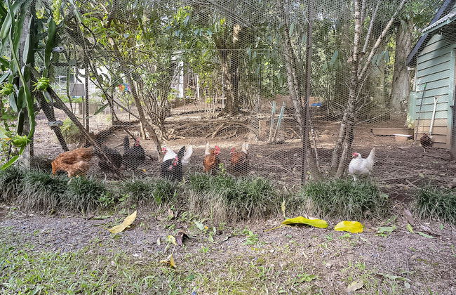 Sanctuary in The Pocket - Photo 73